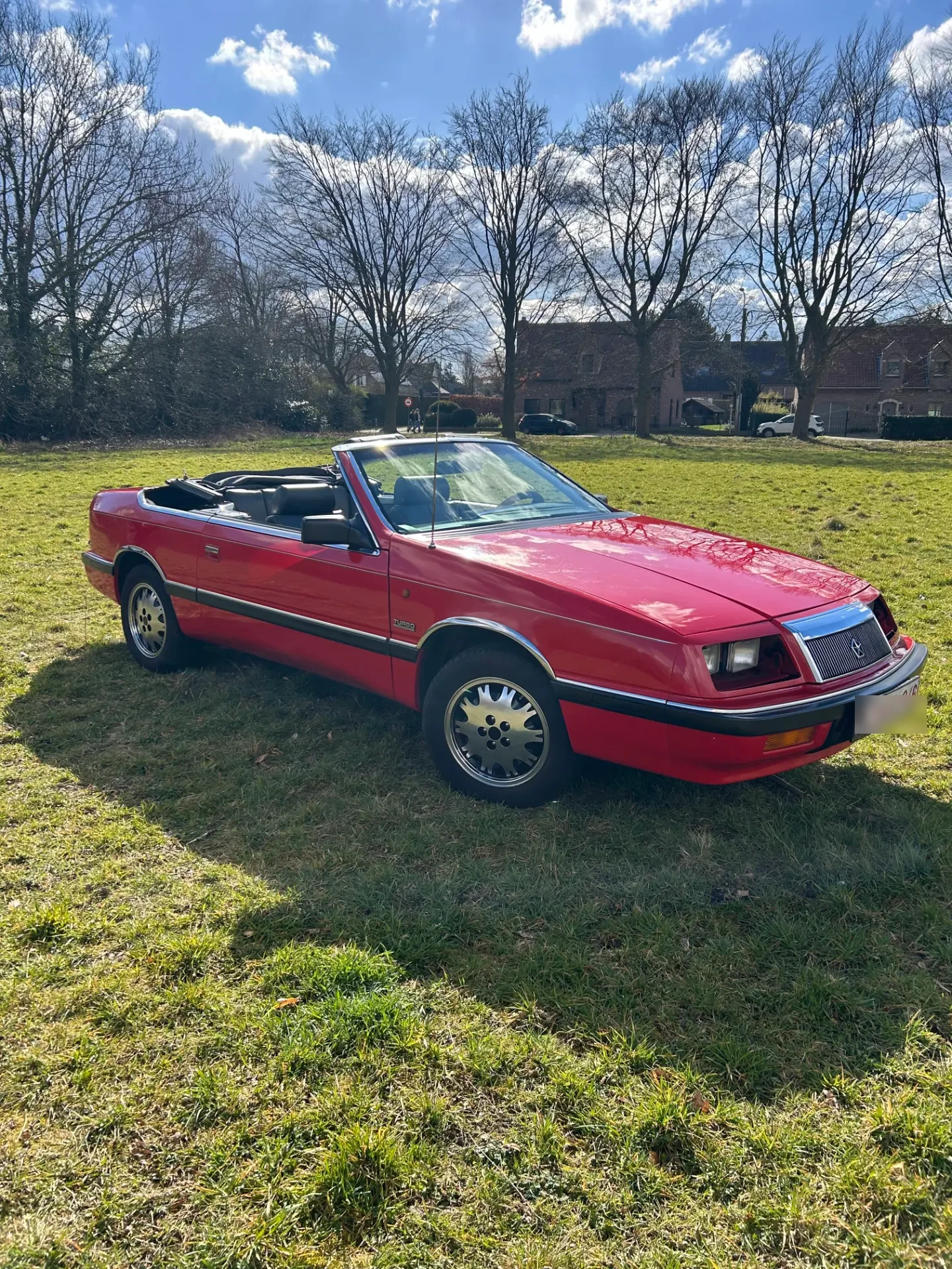 Chrysler Le Baron cabrio met open dak in een weide